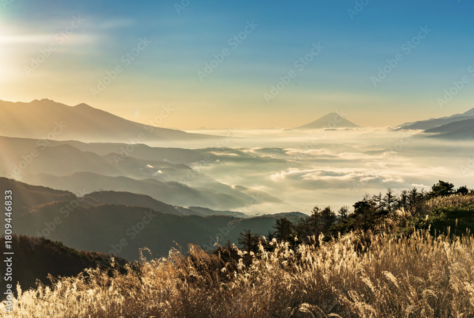 諏訪の美観地区や玉島エリアの名物飲食店ご紹介