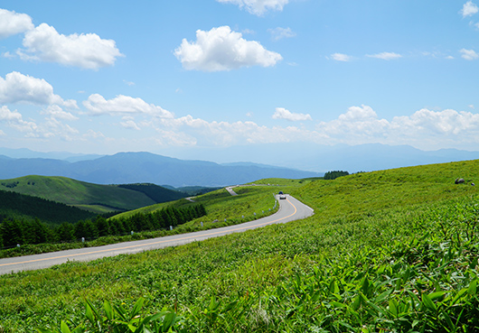 霧ヶ峰高原