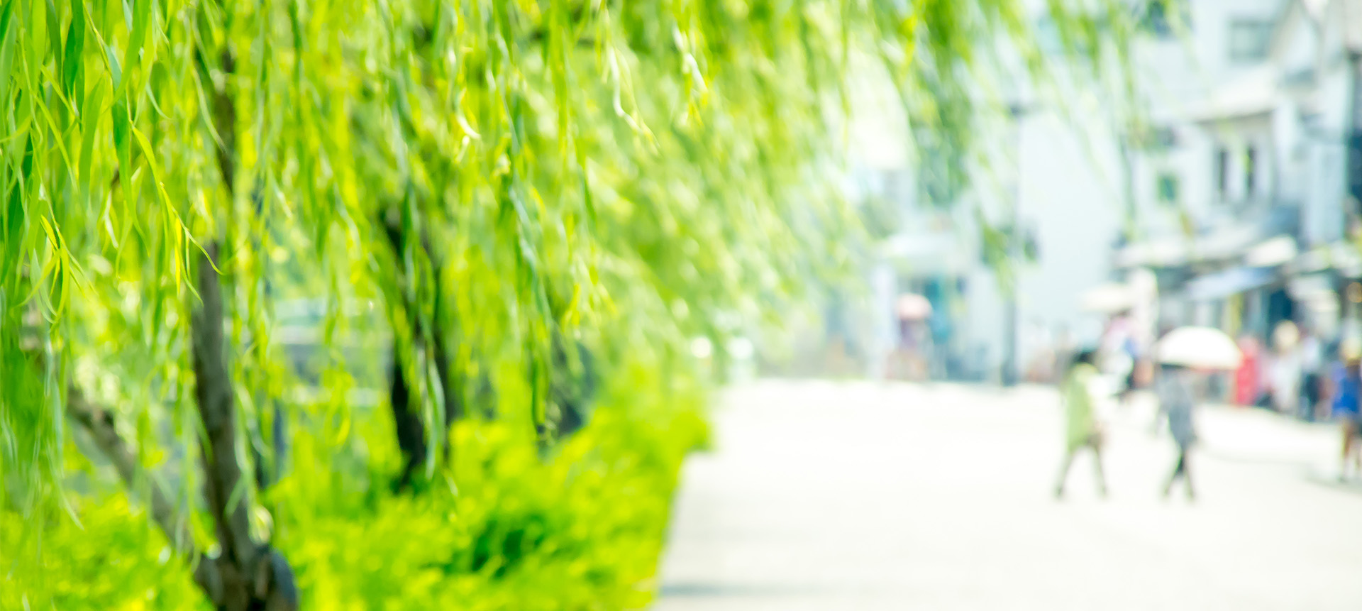 キービジュアル